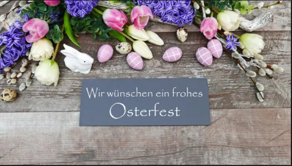 Screenshot 20260404 150309 Brave 1